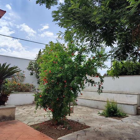 Mamasita Apartment Cutrofiano Exterior photo