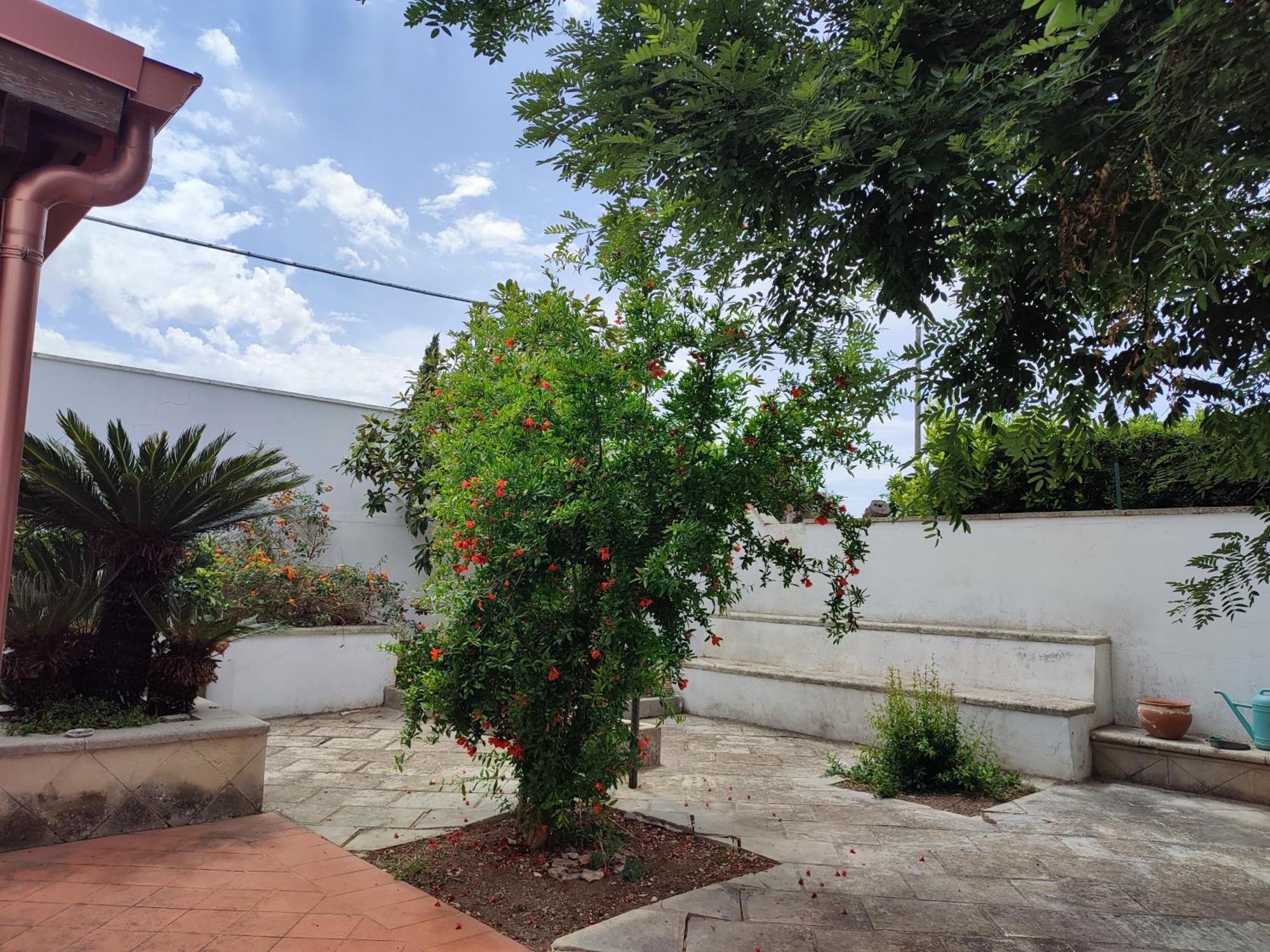 Mamasita Apartment Cutrofiano Exterior photo